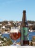 Vest-Telemark-IPA2.jpg